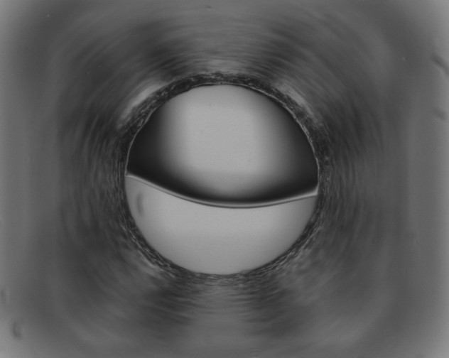 X0000092101112200709121104