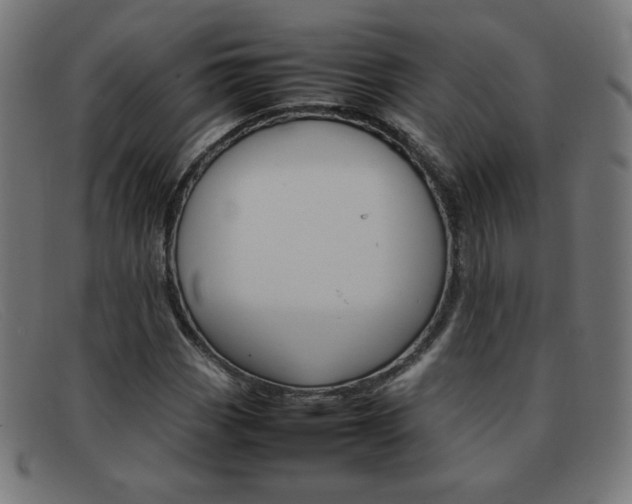 X0000092101113200709121104