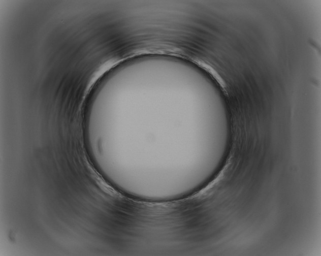 X0000092101114200709121104