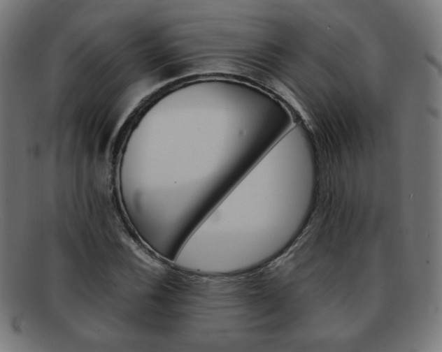 X0000092101116200709121104