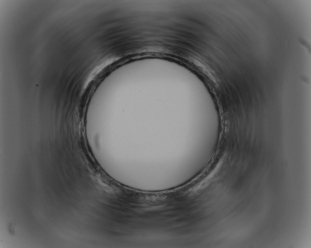 X0000092101117200709121104