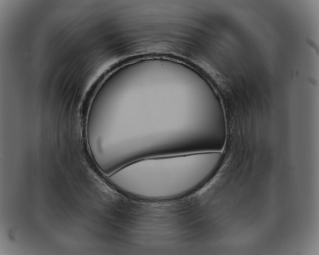 X0000092101118200709121104