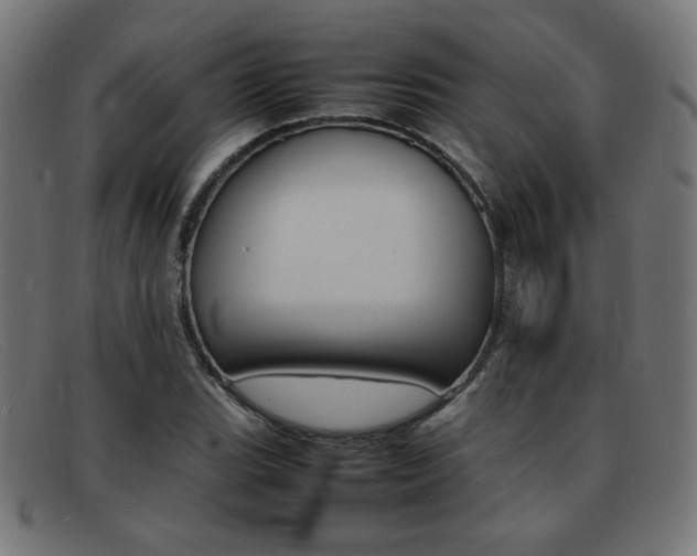 X0000092101119200709121104
