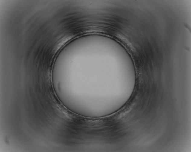 X0000092101121200709121104