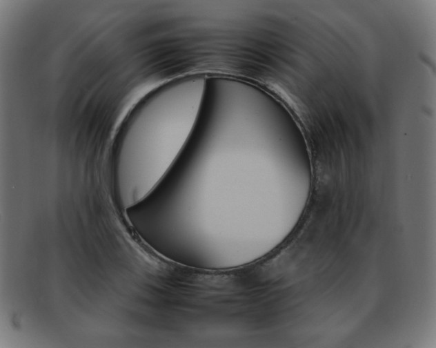 X0000092101123200709121104