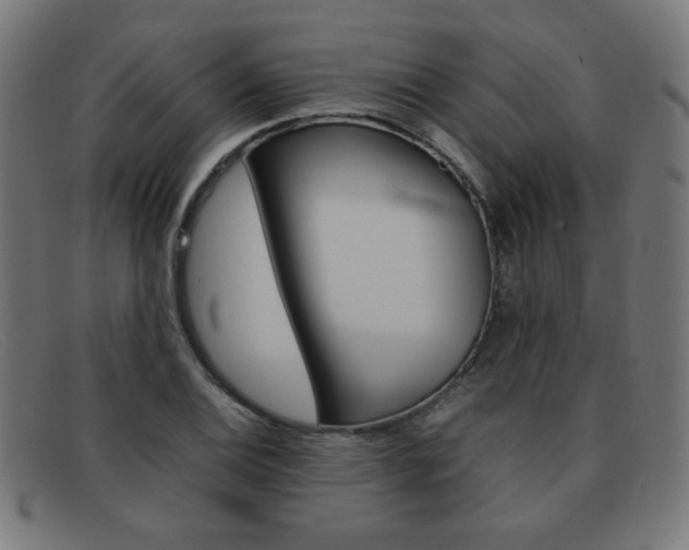 X0000092101124200709121104