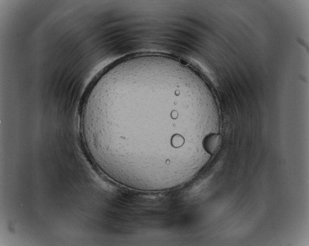 X0000092101125200709121104