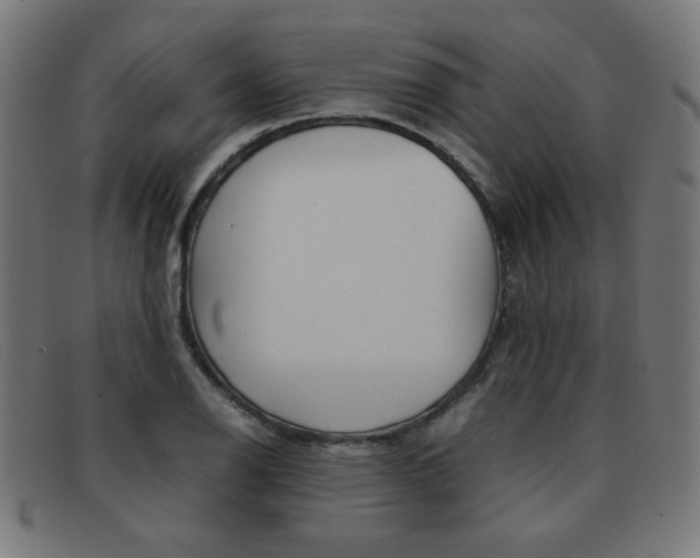 X0000092101126200709121104