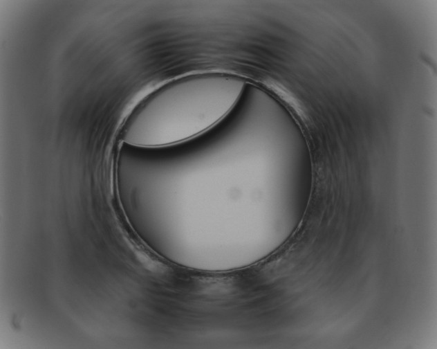 X0000092101127200709121104