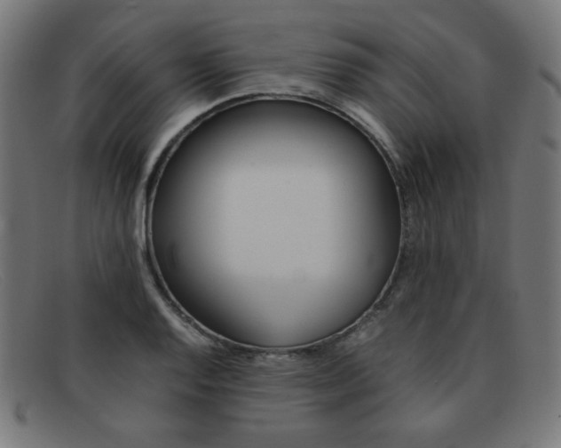 X0000092101128200709121104