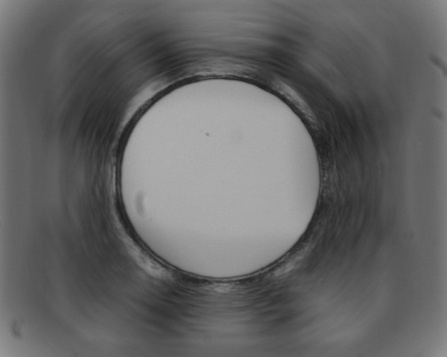 X0000092101130200709121104