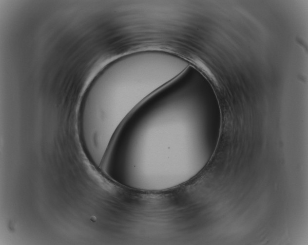 X0000092101132200709121104