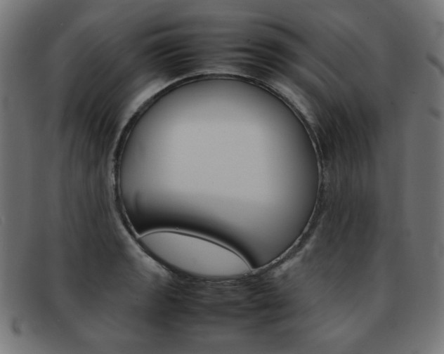 X0000092101133200709121104