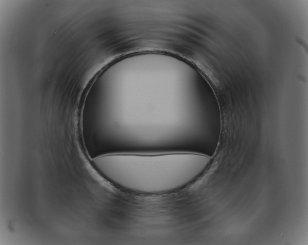 X0000092101134200709121104