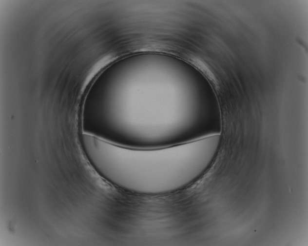 X0000092101138200709121104
