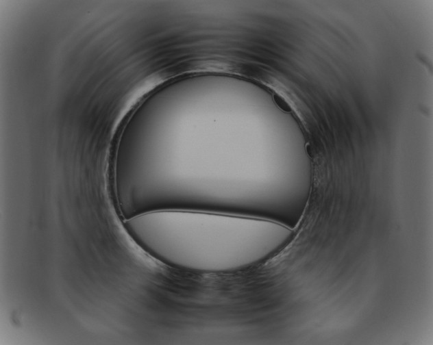 X0000092101139200709121104