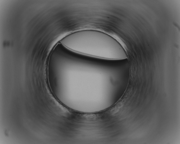 X0000092101142200709121104