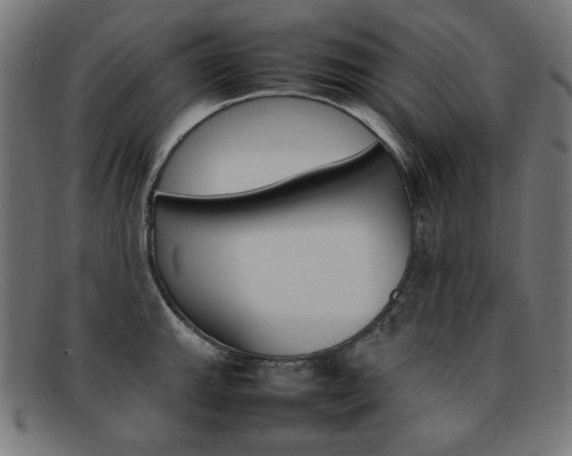 X0000092101143200709121104
