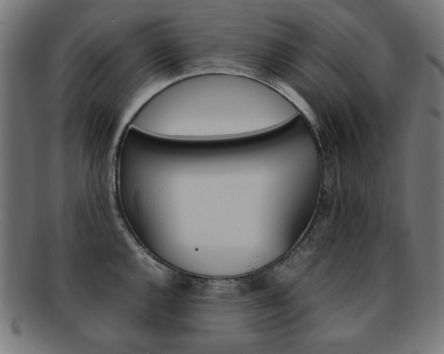 X0000092101144200709121104
