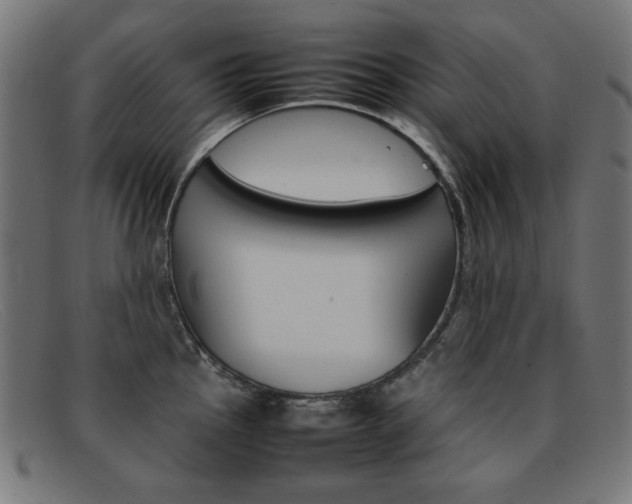 X0000092101145200709121104