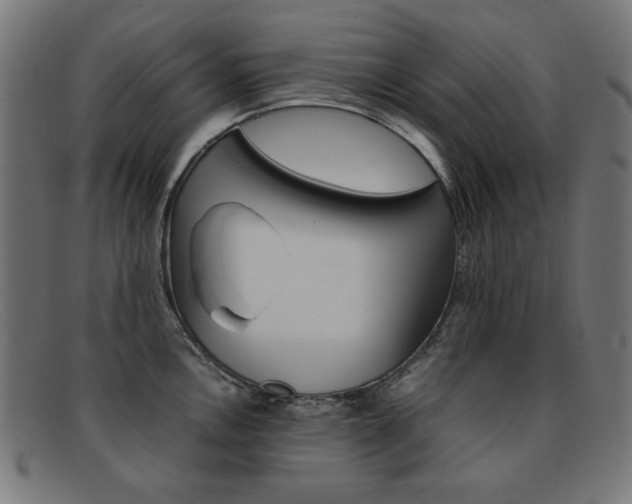 X0000092101146200709121104