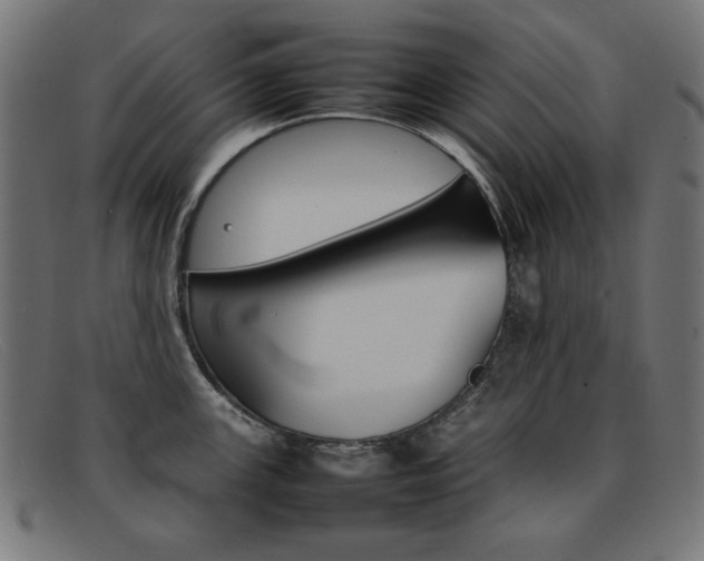 X0000092101147200709121104