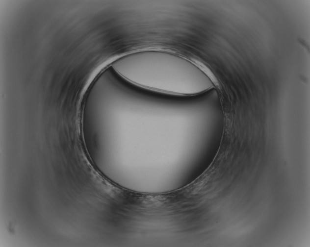 X0000092101148200709121104