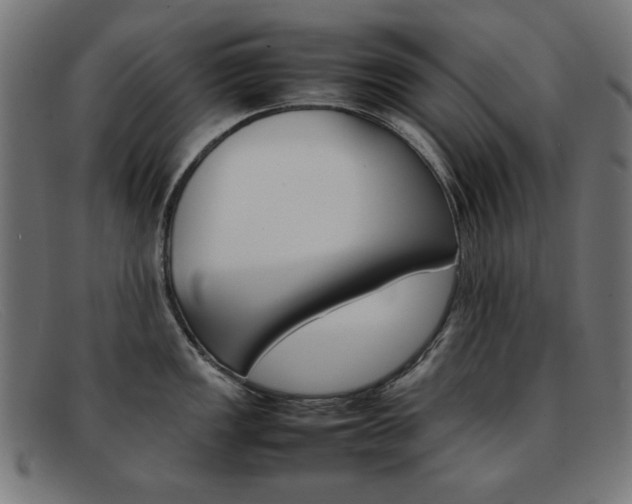 X0000092101149200709121104
