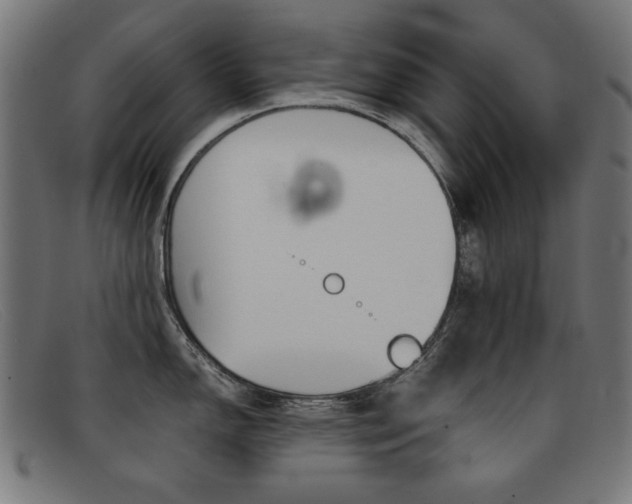 X0000092101150200709121104
