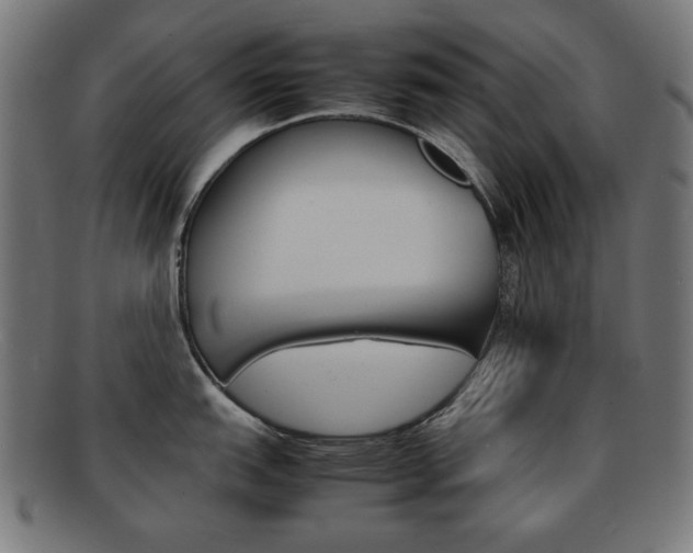 X0000092101151200709121104