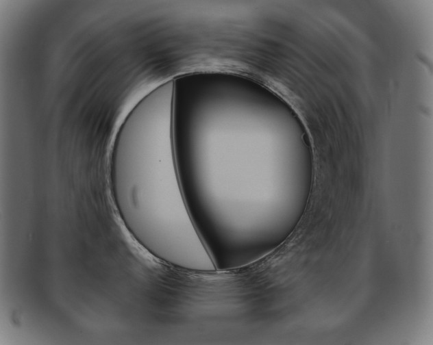 X0000092101152200709121104
