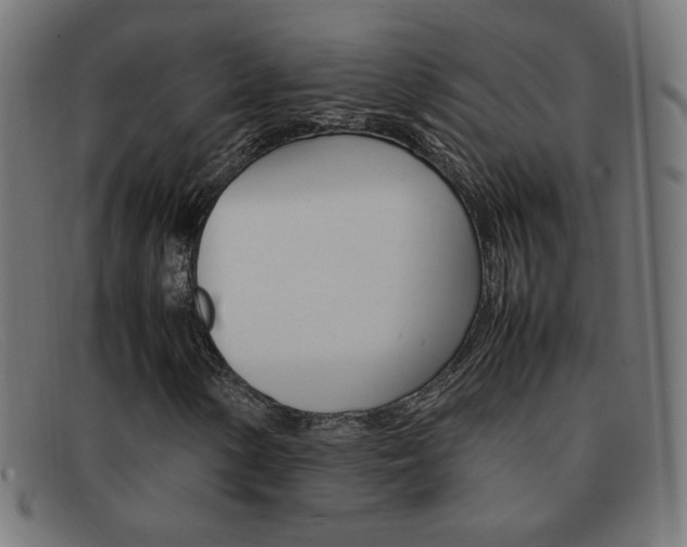 X0000092101154200709121104