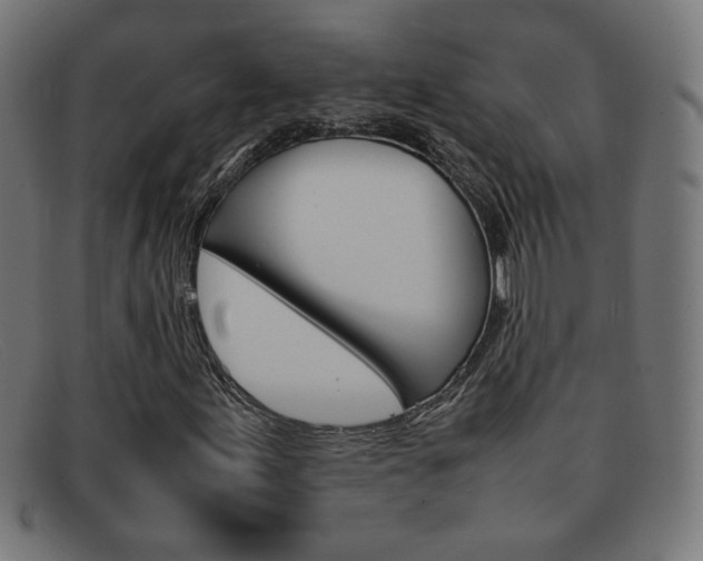 X0000092101155200709121104