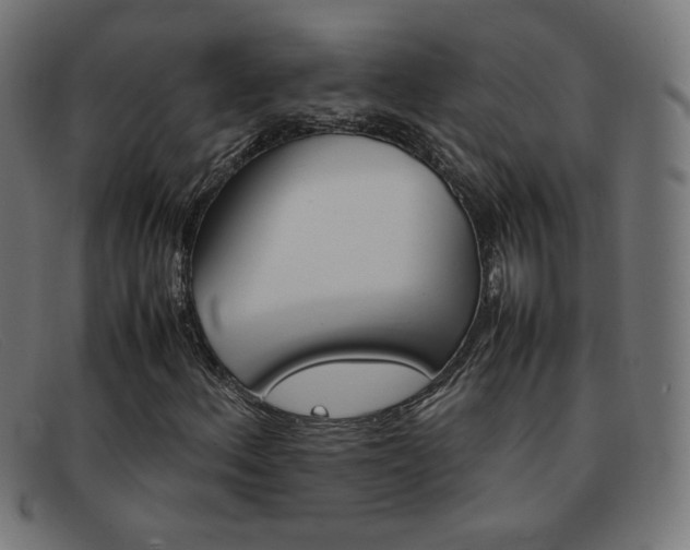 X0000092101156200709121104