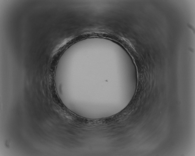 X0000092101159200709121104