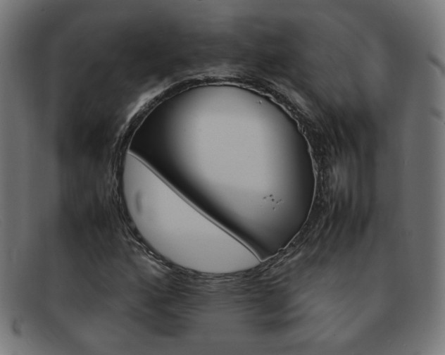 X0000092101160200709121104