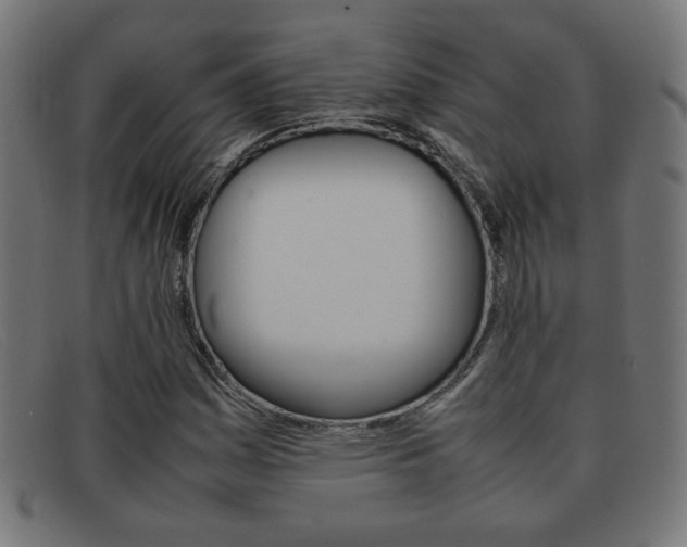 X0000092101161200709121104
