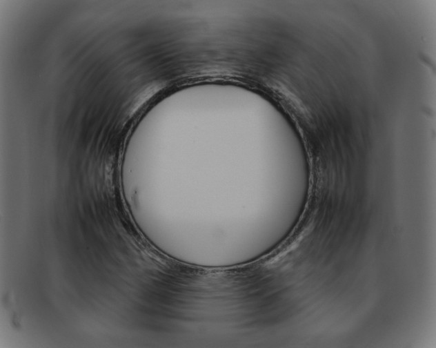 X0000092101162200709121104