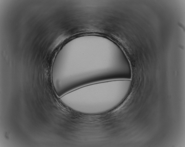 X0000092101163200709121104