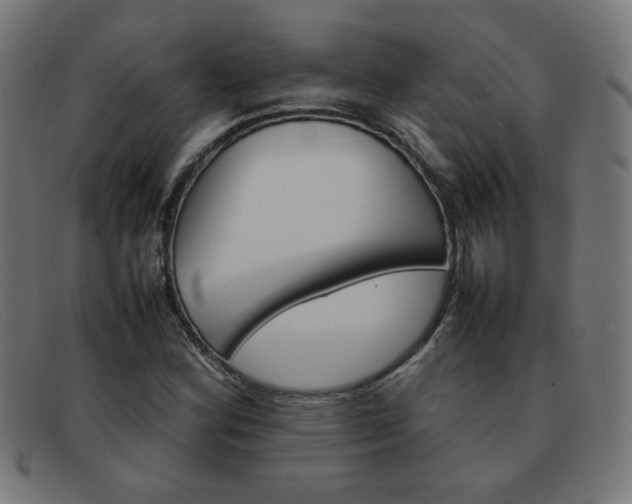 X0000092101164200709121104