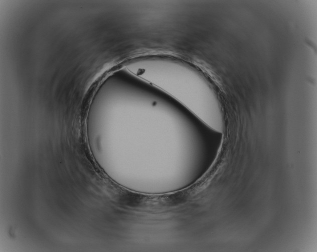 X0000092101165200709121104