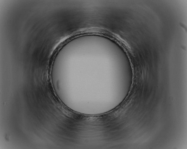 X0000092101166200709121104