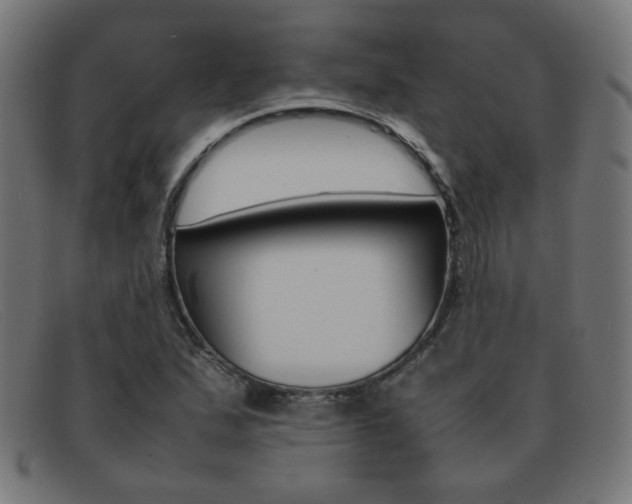 X0000092101167200709121104