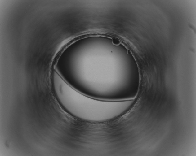 X0000092101168200709121104