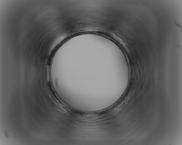 X0000092101171200709121103