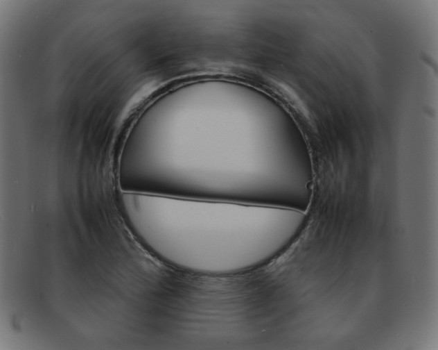 X0000092101172200709121103