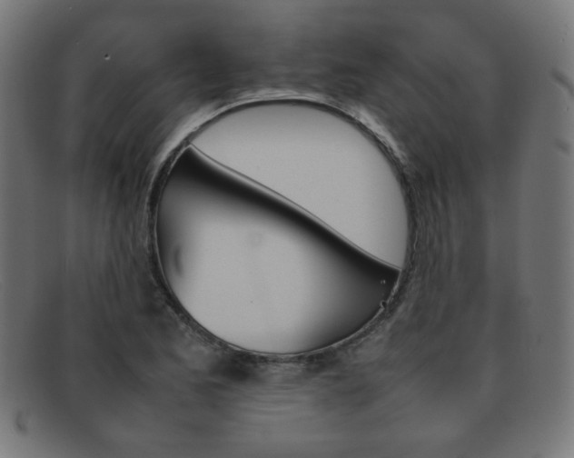 X0000092101173200709121103
