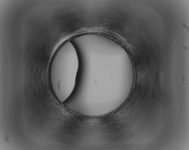 X0000092101174200709121103