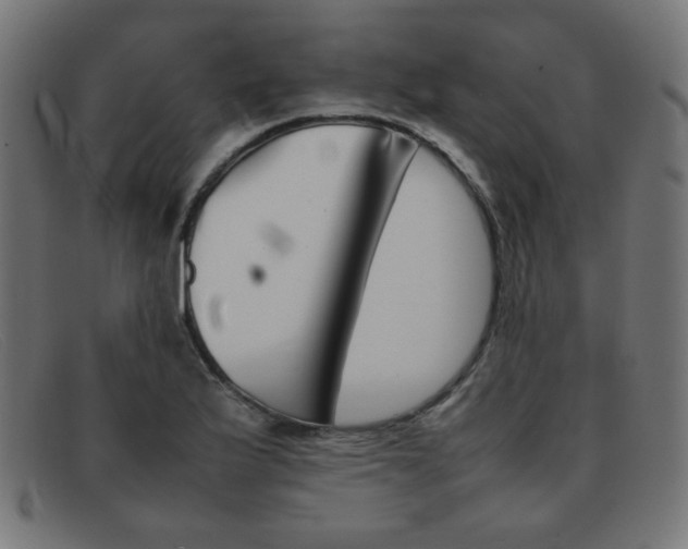 X0000092101175200709121103