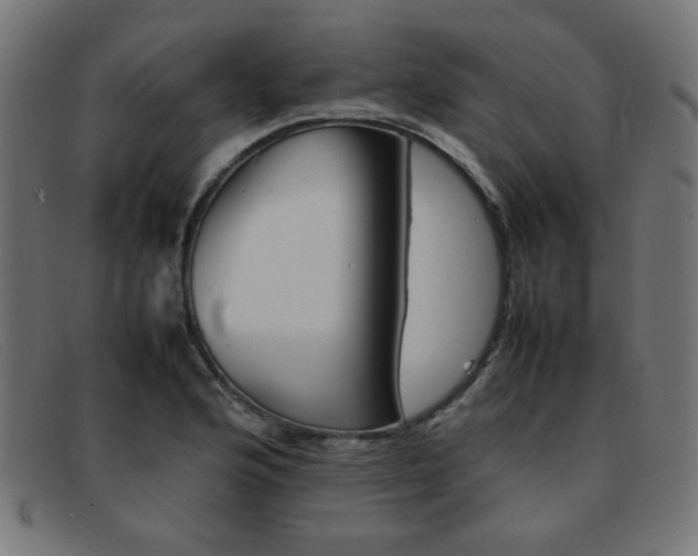 X0000092101176200709121103
